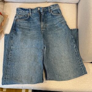 Reformation Cary Slouchy Wide Leg Crop Jean